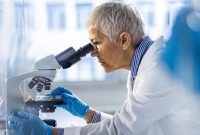 محققان گونه های جدیدی را در روده کشف می کنند