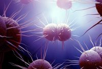 سوزاک چند مقیم: برای اولین بار ، موارد در آلمان